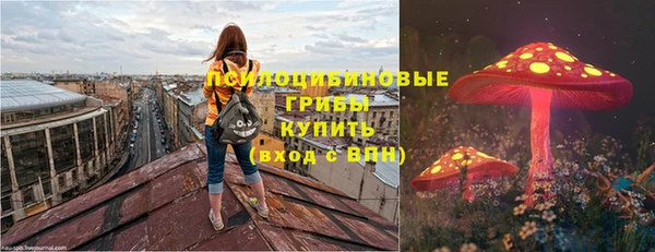 дживик Алексин