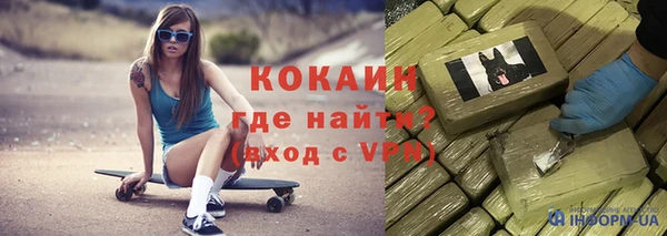 дживик Алексин