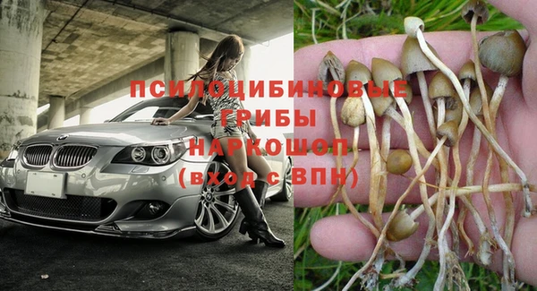 дживик Алексин