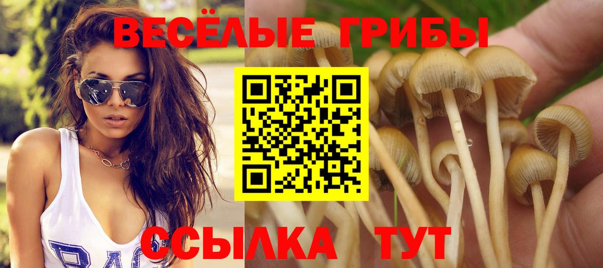 Псилоцибиновые грибы прущие грибы  Вход с VPN  Севастополь 